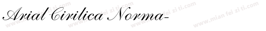 Arial Cirilica Norma字体转换